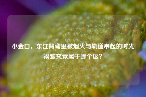 小金口,东江臂弯里被烟火与轨道串起的时光褶皱究竟属于哪个区?