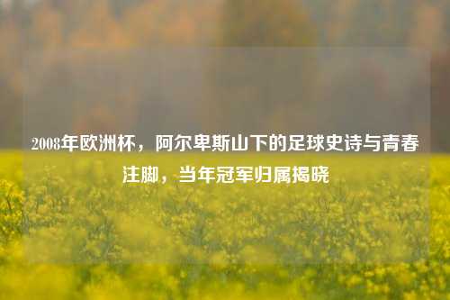 2008年欧洲杯,阿尔卑斯山下的足球史诗与青春注脚,当年冠军归属揭晓