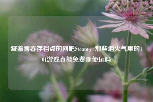 藏着青春存档点的网吧Steam，那些烟火气里的101游戏真能免费随便玩吗