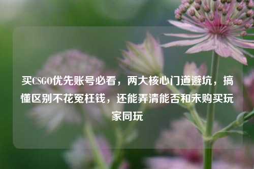 买CSGO优先账号必看，两大核心门道避坑，搞懂区别不花冤枉钱，还能弄清能否和未购买玩家同玩