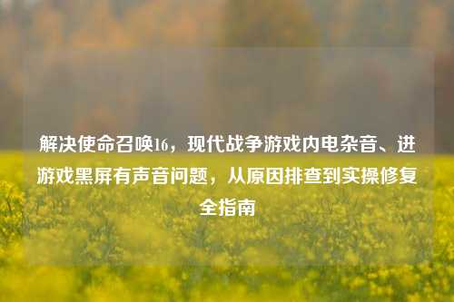 解决使命召唤16，现代战争游戏内电杂音、进游戏黑屏有声音问题，从原因排查到实操修复全指南