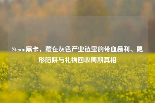 Steam黑卡,藏在灰色产业链里的带血暴利、隐形陷阱与礼物回收周期真相
