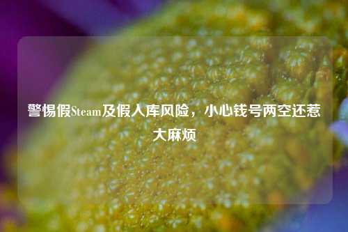 警惕假Steam及假入库风险，小心钱号两空还惹大麻烦