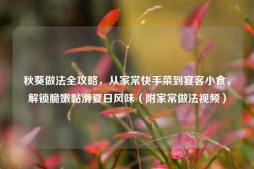秋葵做法全攻略,从家常快手菜到宴客小食,解锁脆嫩黏滑夏日风味(附家常做法视频)
