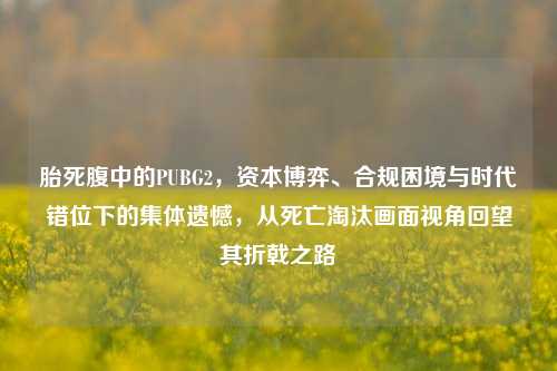胎死腹中的PUBG2，资本博弈、合规困境与时代错位下的集体遗憾，从死亡淘汰画面视角回望其折戟之路