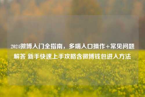 2024微博入门全指南,多端入口操作+常见问题解答 新手快速上手攻略含微博钱包进入方法
