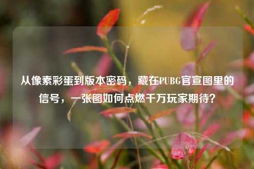 从像素彩蛋到版本密码，藏在PUBG官宣图里的信号，一张图如何点燃千万玩家期待？