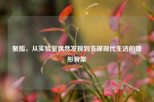 聚酯，从实验室偶然发现到支撑现代生活的隐形骨架