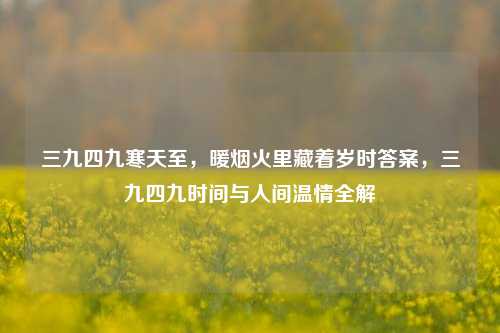 三九四九寒天至，暖烟火里藏着岁时答案，三九四九时间与人间温情全解