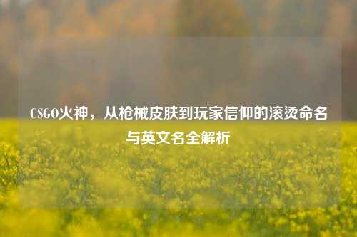 CSGO火神,从枪械皮肤到玩家信仰的滚烫命名与英文名全解析