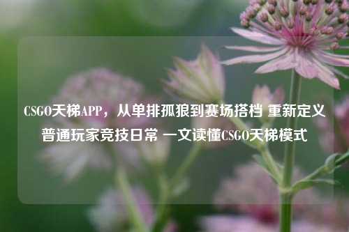 CSGO天梯APP，从单排孤狼到赛场搭档 重新定义普通玩家竞技日常 一文读懂CSGO天梯模式