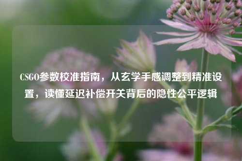 CSGO参数校准指南，从玄学手感调整到精准设置，读懂延迟补偿开关背后的隐性公平逻辑
