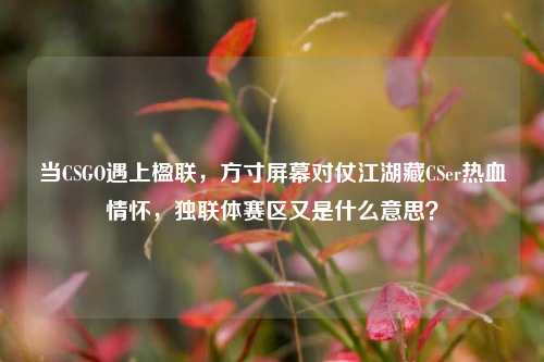 当CSGO遇上楹联，方寸屏幕对仗江湖藏CSer热血情怀，独联体赛区又是什么意思？