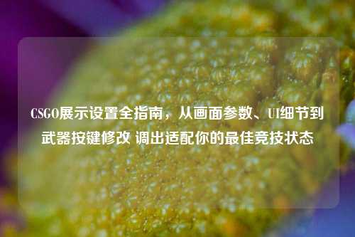 CSGO展示设置全指南,从画面参数、UI细节到武器按键修改 调出适配你的最佳竞技状态