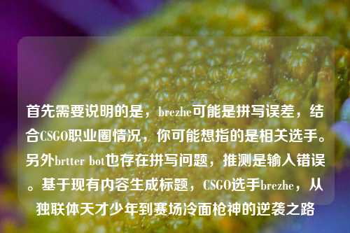 首先需要说明的是，brezhe可能是拼写误差，结合CSGO职业圈情况，你可能想指的是相关选手。另外brtter bot也存在拼写问题，推测是输入错误。基于现有内容生成标题，CSGO选手brezhe，从独联体天才少年到赛场冷面枪神的逆袭之路