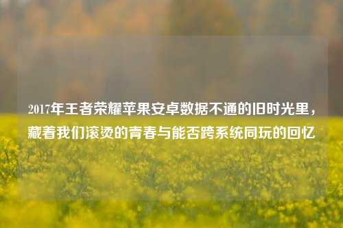 2017年王者荣耀苹果安卓数据不通的旧时光里，藏着我们滚烫的青春与能否跨系统同玩的回忆
