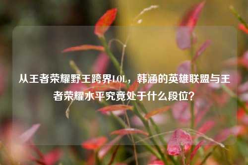 从王者荣耀野王跨界LOL，韩涵的英雄联盟与王者荣耀水平究竟处于什么段位？