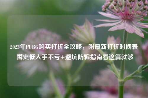 2023年PUBG购买打折全攻略，附最新打折时间表 蹲史低入手不亏+避坑防骗指南看这篇就够