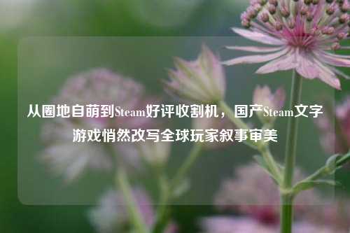 从圈地自萌到Steam好评收割机，国产Steam文字游戏悄然改写全球玩家叙事审美