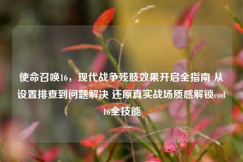 使命召唤16，现代战争残肢效果开启全指南 从设置排查到问题解决 还原真实战场质感解锁cod16全技能
