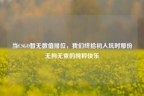 当CSGO暂无数值排位,我们终拾初入坑时那份无拘无束的纯粹快乐