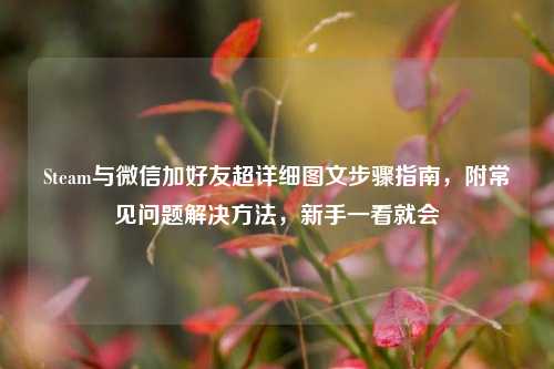 Steam与微信加好友超详细图文步骤指南,附常见问题解决方法,新手一看就会