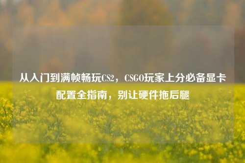 从入门到满帧畅玩CS2,CSGO玩家上分必备显卡配置全指南,别让硬件拖后腿