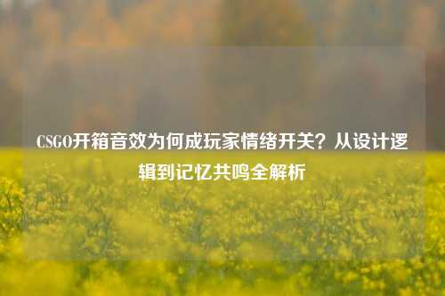 CSGO开箱音效为何成玩家情绪开关?从设计逻辑到记忆共鸣全解析