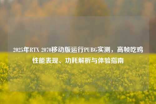 2025年RTX 2070移动版运行PUBG实测，高帧吃鸡性能表现、功耗解析与体验指南
