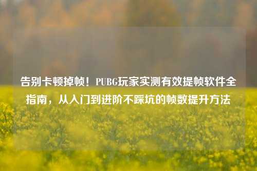 告别卡顿掉帧！PUBG玩家实测有效提帧软件全指南，从入门到进阶不踩坑的帧数提升方法