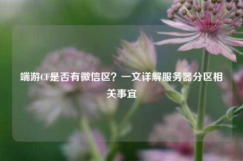 端游CF是否有微信区?一文详解服务器分区相关事宜