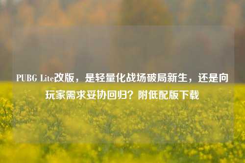 PUBG Lite改版，是轻量化战场破局新生，还是向玩家需求妥协回归？附低配版下载