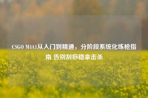 CSGO M4A1从入门到精通，分阶段系统化练枪指南 告别刮痧稳拿击杀