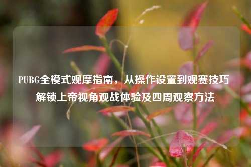PUBG全模式观摩指南，从操作设置到观赛技巧 解锁上帝视角观战体验及四周观察方法