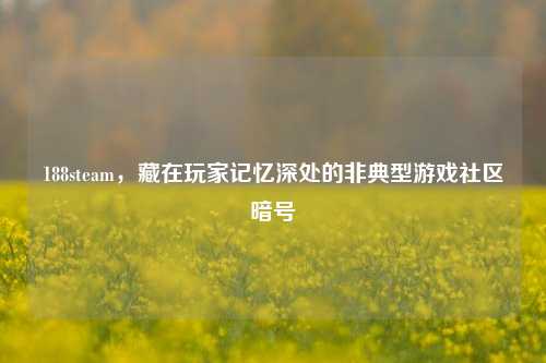 188steam,藏在玩家记忆深处的非典型游戏社区暗号