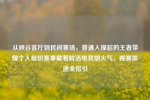 从峡谷客厅到民间赛场，普通人撑起的王者荣耀个人组织赛事藏着鲜活电竞烟火气，观赛渠道全指引
