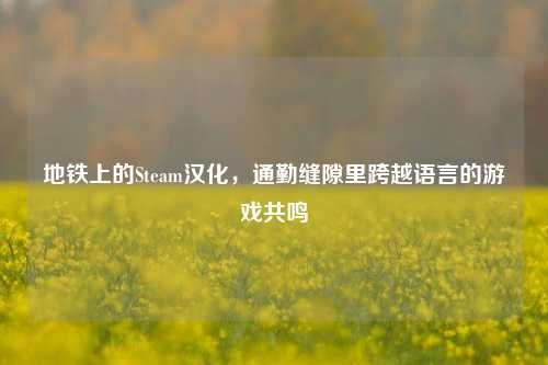 地铁上的Steam汉化，通勤缝隙里跨越语言的游戏共鸣