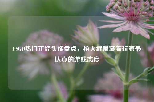 CSGO热门正经头像盘点,枪火缝隙藏着玩家最认真的游戏态度