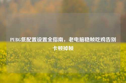 PUBG低配置设置全指南，老电脑稳帧吃鸡告别卡顿掉帧