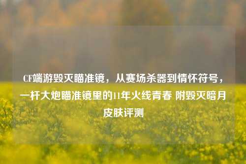 CF端游毁灭瞄准镜，从赛场杀器到情怀符号，一杆大炮瞄准镜里的11年火线青春 附毁灭暗月皮肤评测