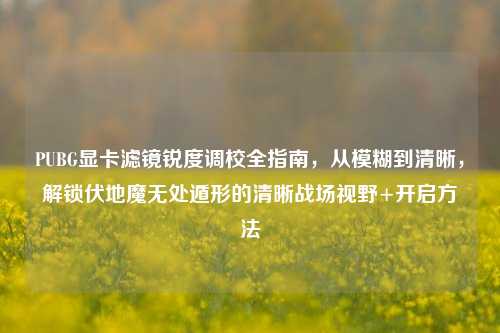 PUBG显卡滤镜锐度调校全指南，从模糊到清晰，解锁伏地魔无处遁形的清晰战场视野+开启方法