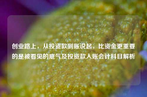 创业路上，从投资款到账说起，比资金更重要的是被看见的底气及投资款入账会计科目解析