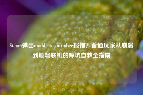 Steam弹出unable to initialize报错?普通玩家从崩溃到顺畅联机的踩坑自救全指南