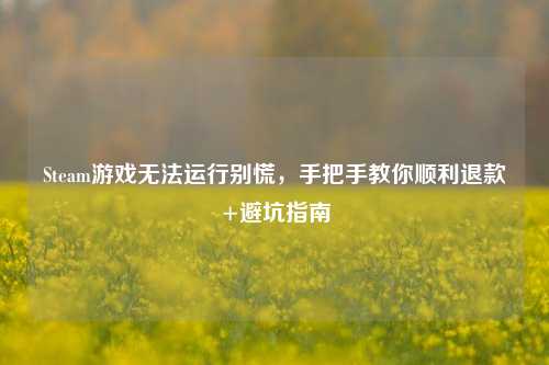 Steam游戏无法运行别慌，手把手教你顺利退款+避坑指南