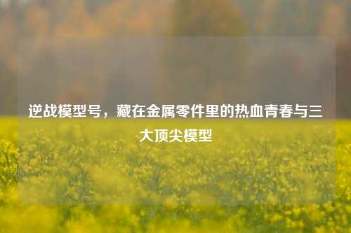 逆战模型号，藏在金属零件里的热血青春与三大顶尖模型