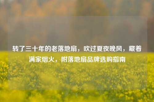 转了三十年的老落地扇，吹过夏夜晚风，藏着满家烟火，附落地扇品牌选购指南