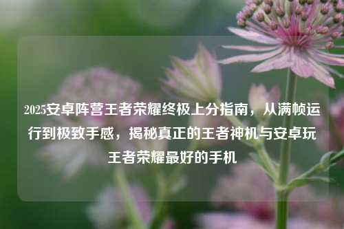2025安卓阵营王者荣耀终极上分指南，从满帧运行到极致手感，揭秘真正的王者神机与安卓玩王者荣耀最好的手机