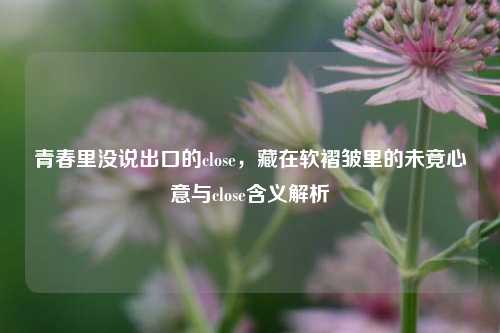 青春里没说出口的close，藏在软褶皱里的未竟心意与close含义解析
