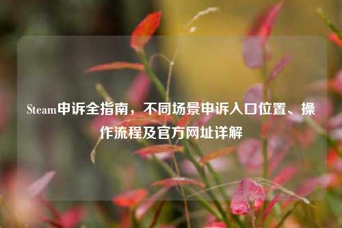 Steam申诉全指南，不同场景申诉入口位置、操作流程及官方网址详解