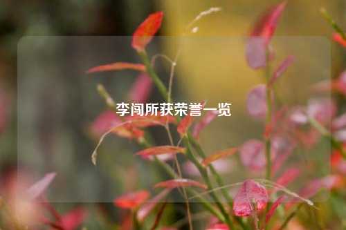 李闯所获荣誉一览